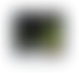 The Moon Tree 5/15/20