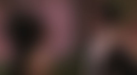 Losing the Self: A Psychological Analysis of Female Self-Silencing in Coming to America Movie