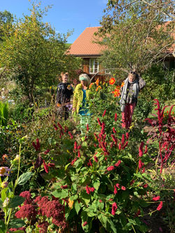 Foto 13.10.19, 11 11 19