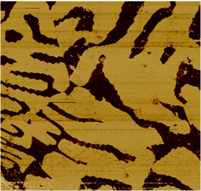 Ferroelectrics UK and Ireland 2025 - Call for Papers