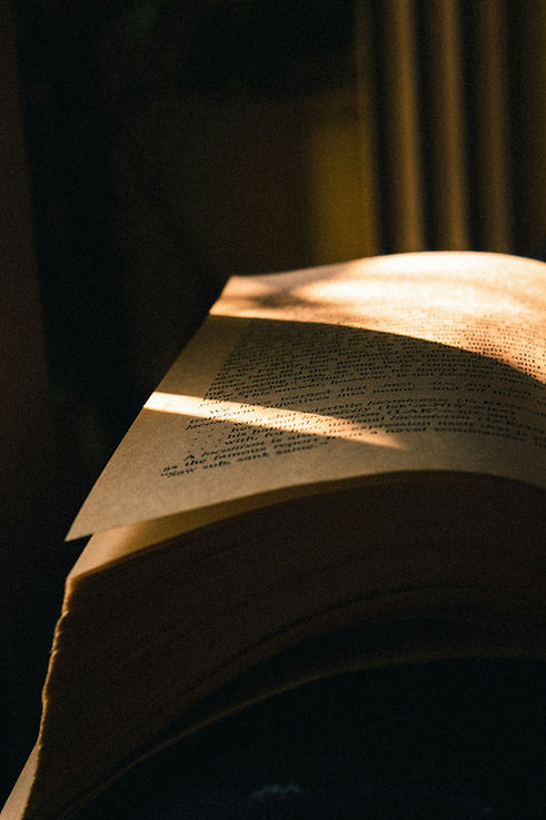 thilak-mohan-C0eMifpRfQE-unsplash.jpg
