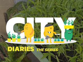 Cities diary เสนอตอน "สวนผักชุมชน"
