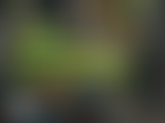 เมื่อทุ่งสนามควายต้องกลายเป็นเมือง : ลองมองการเปลี่ยนแปลงของพื้นที่และผู้คนก่อนการกำเนิดตลาดนางเลิ้งกัน 