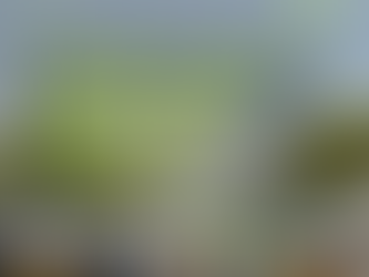 เมื่อพื้นที่ คนเป็นถูกผสานเข้ากับพื้นที่คนตาย จากเมรุวัดสระเทศ ตึง ศาลากลางบ้าน ชุมชนบ้านบาตร