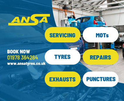 Ansa Ad Assets (3).jpg