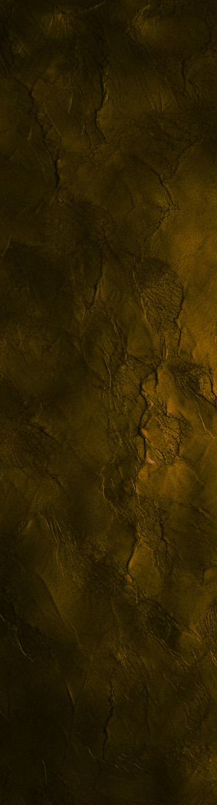gold background_edited_edited_edited.jpg