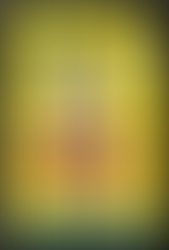 PAPO DE CABELO ::: Lola é assim.. ou você AMA ou não conhece!