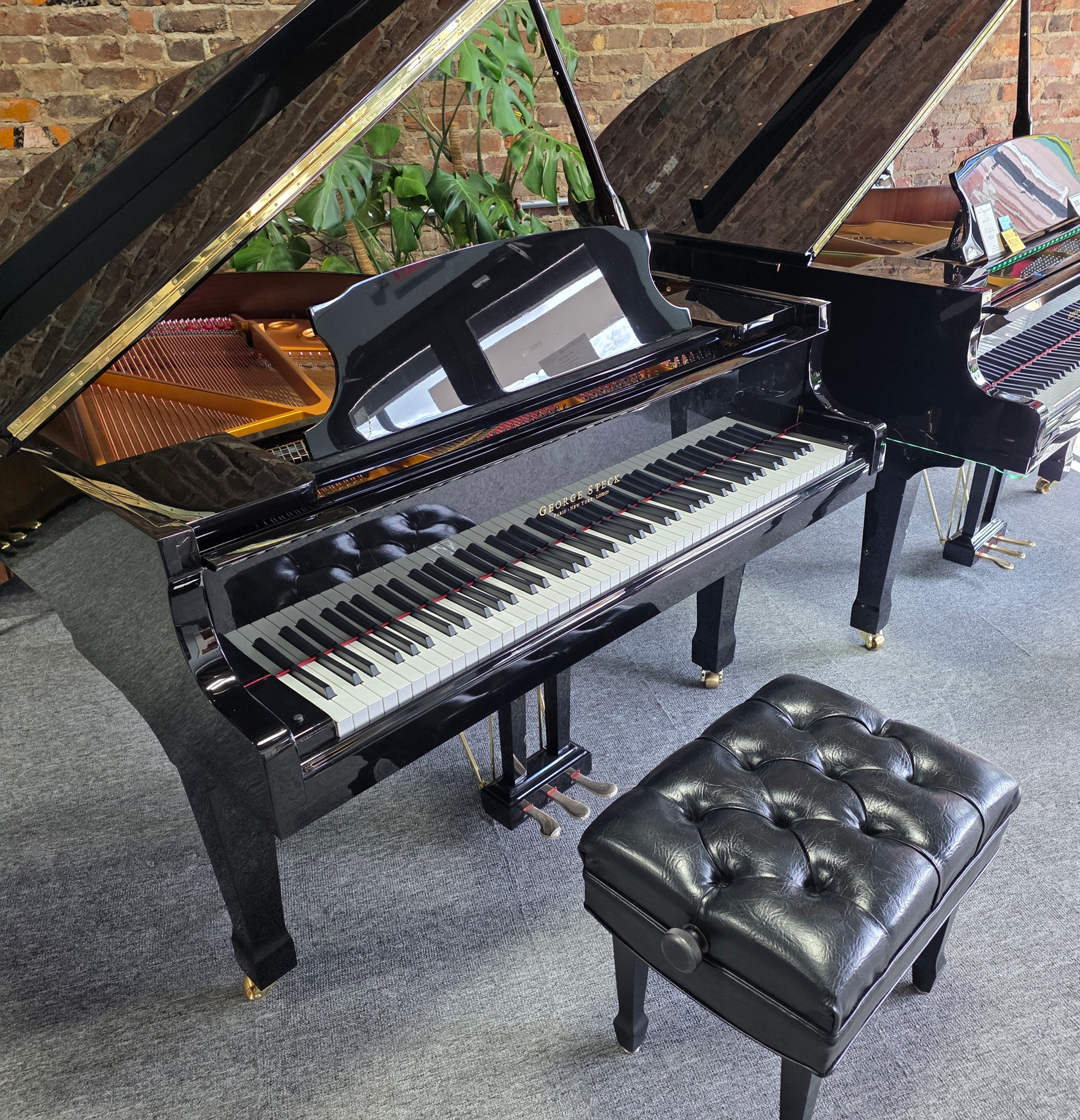 Self Playing Piano - George Steck (5ft)