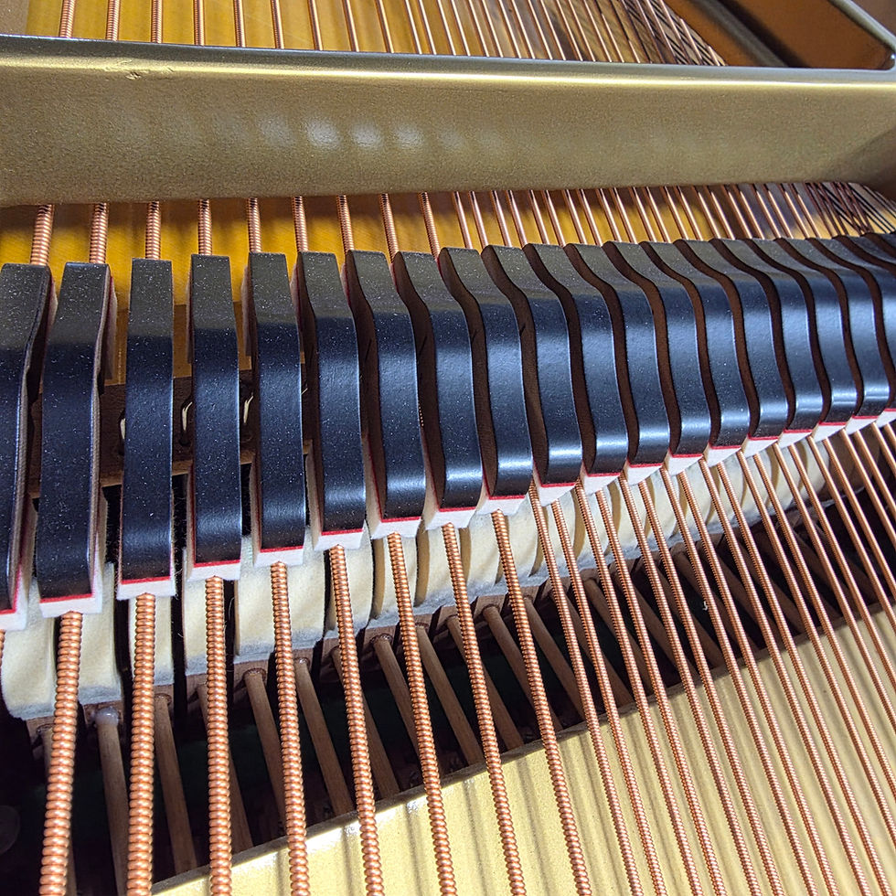 Thumbnail: Yamaha SC Grand 8' 3" S.C. (w/ PianoDisc)