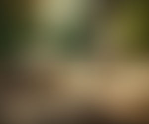 Be the Tortoise not the Hare