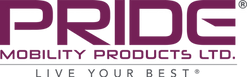 Pride logo
