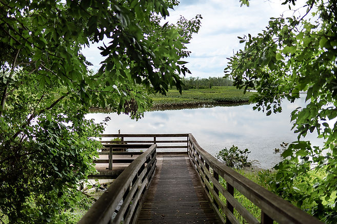 Cumberland Marsh3.jpg