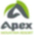 apex.jpeg