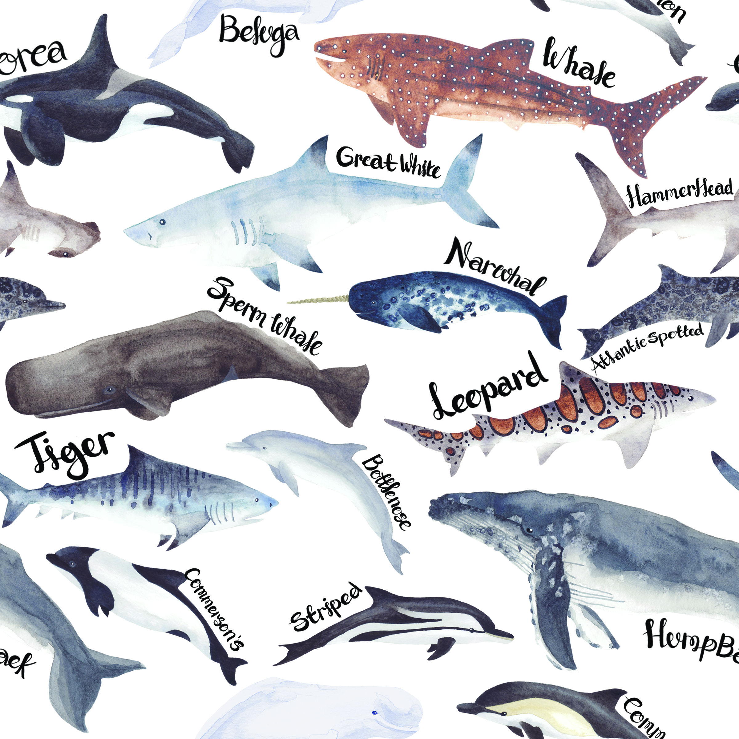 Short Dungarees - The Deep - Sharks - Whales - Dolphins