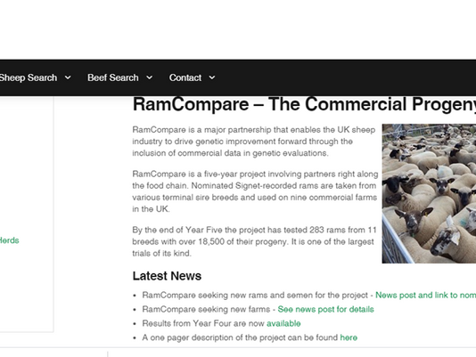Oxfords in RamCompare project