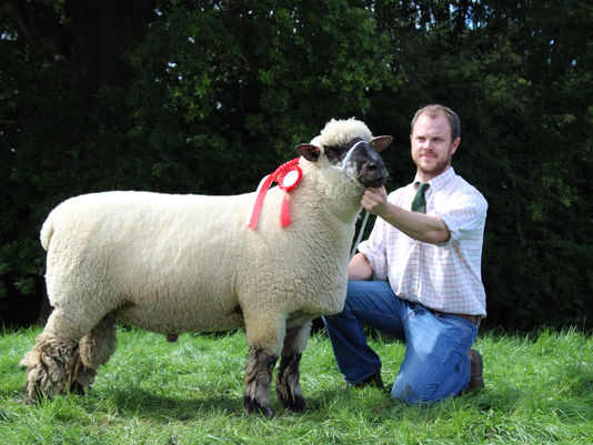 Worcester sale report 2017