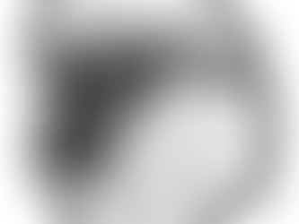 OXFORDS SELL TO 1550GNS AT RECORD-BREAKING WORCESTER