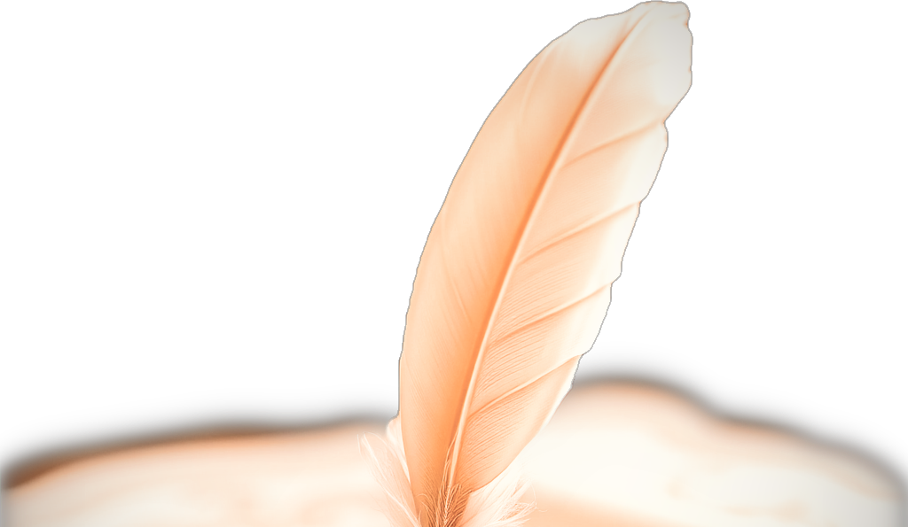 Vintage, elegant, quill pen with ink. Cream, bone, blush, gold_edited.png