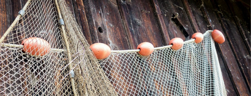 empty nets