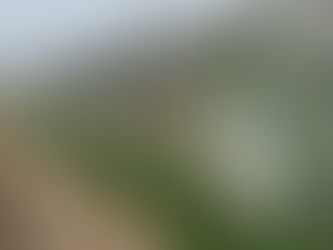 Nous disons adieu à notre serre-verre... et bonjour à notre nouvelle serre à plants !