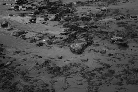 weston supar mare edit 15.jpg