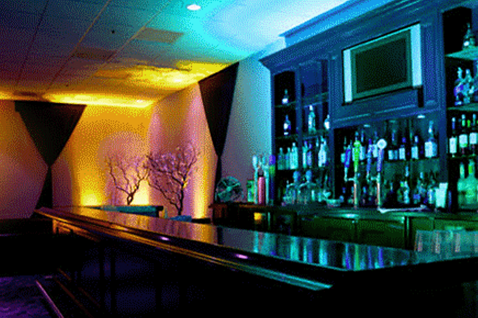 Professional uplighting system wedding reception Virginia