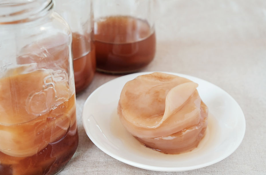 SCOBY on Plate Jar on side.jpg