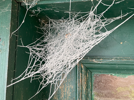 10 Jahre ohne Alkohol……