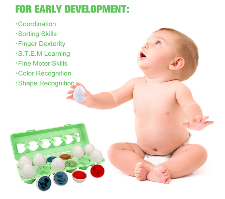 Thumbnail: Dinosaur Matching Egg Toys Set of 12 Color and Shape Recognition Toys, Sensory T