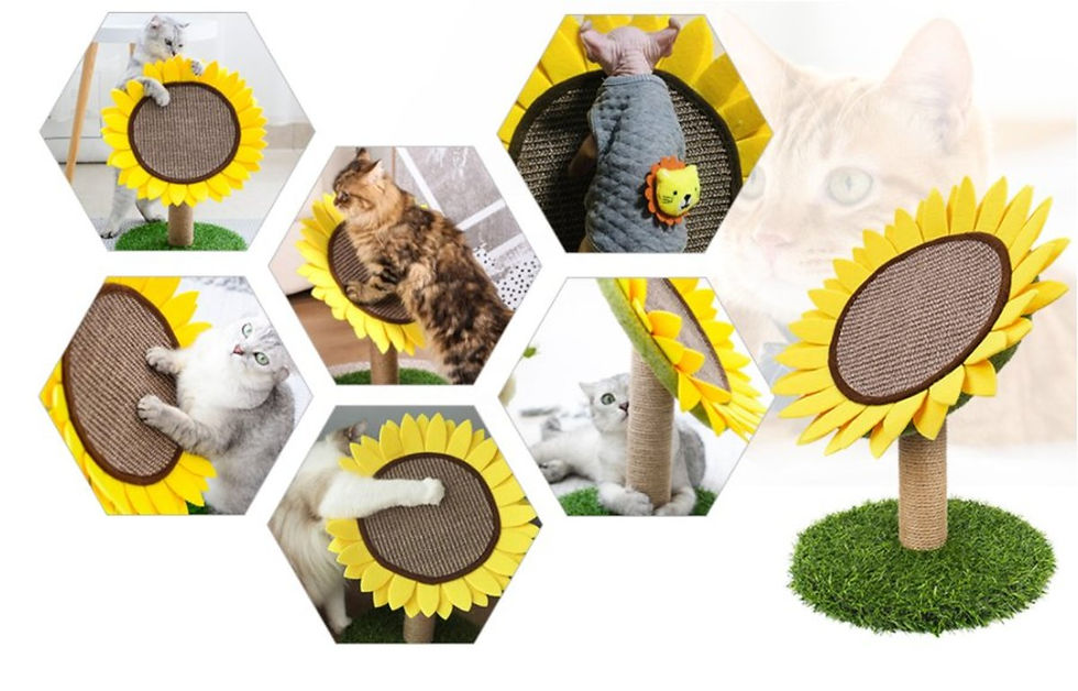 Thumbnail: Cat Scratching Post - Cat Toy, Sunflower Scratch Post with Natural Sisal Rope