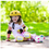 Thumbnail: Children's bicycle helmet, adjustable strap, removable inner pad for cleaning
