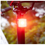 Thumbnail: USB Smart Brake Sensing Bike Tail Light + Bike Headlight Set