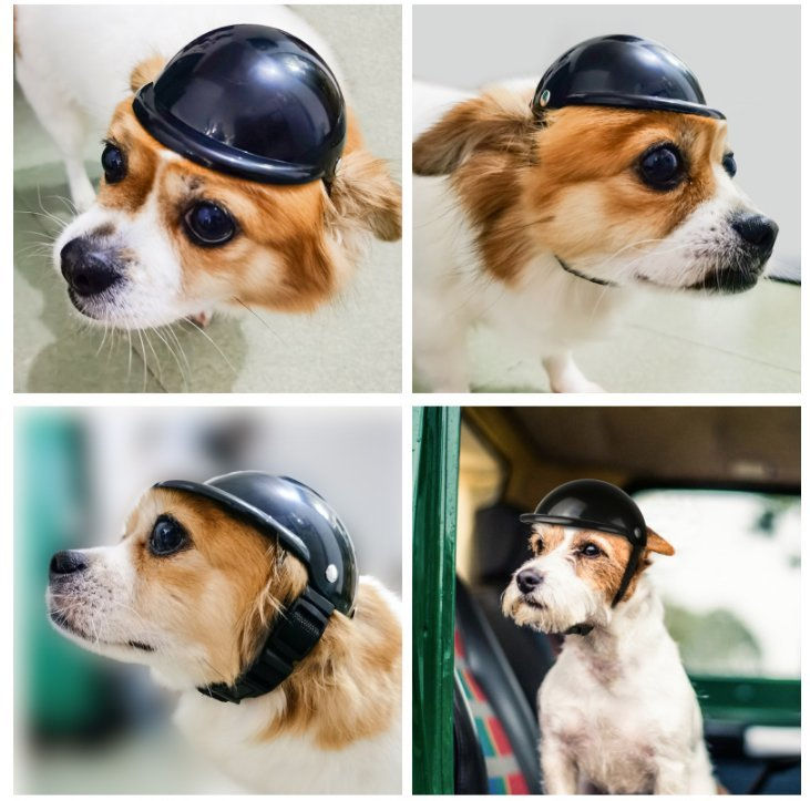 Thumbnail: Small pet helmet, bicycle helmet for cats and dogs
