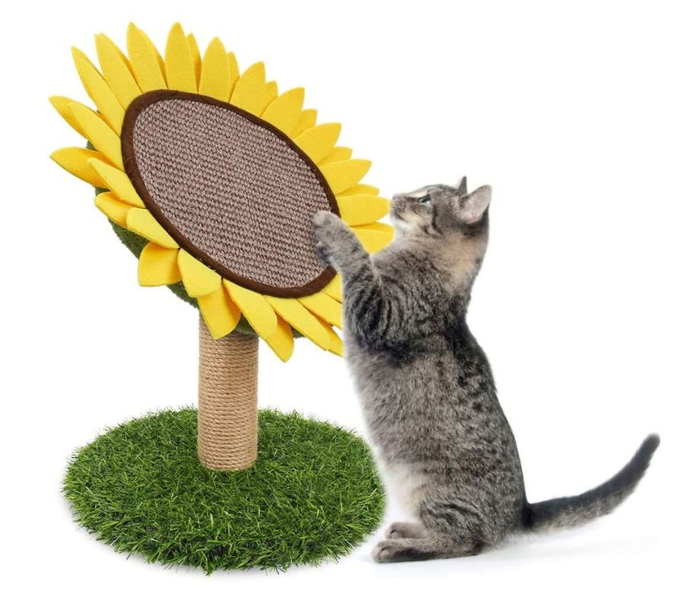 Thumbnail: Cat Scratching Post - Cat Toy, Sunflower Scratch Post with Natural Sisal Rope