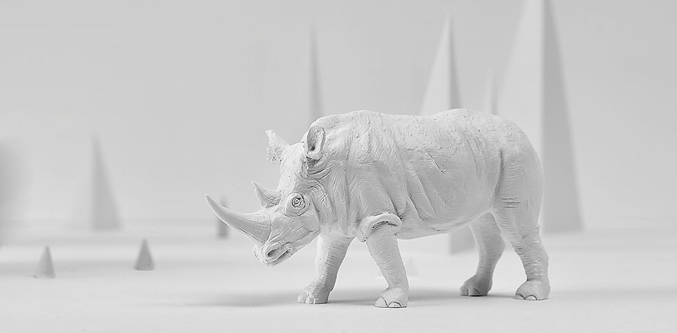 Rhino paperweight