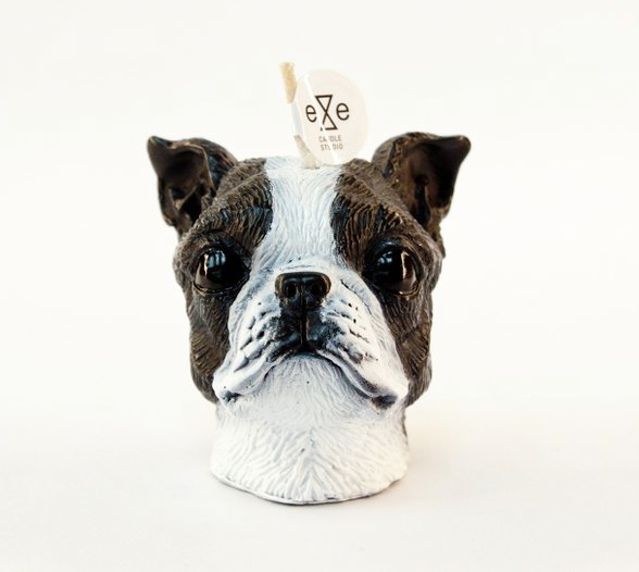 Boston Terrier (Painted)