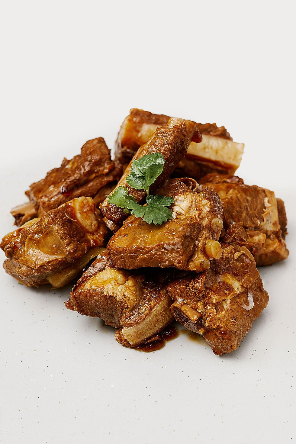 Thumbnail: Stew Pork Ribs 滷排骨
