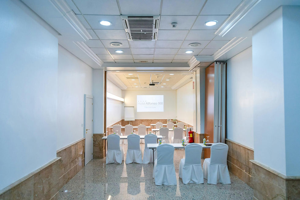 SALÓN ATALAYA- ROLDÁN (1)