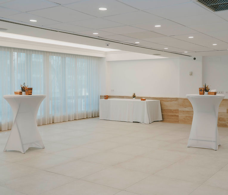 SALÓN MASTIA I Y II (4)
