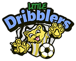 LITTLE DRIBBLERSsportscaster-logo-template-featuring-a-winged-soccer-ball-4558c-el1.png