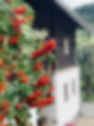Nigglbauer St. Veit im Pongau.jpeg