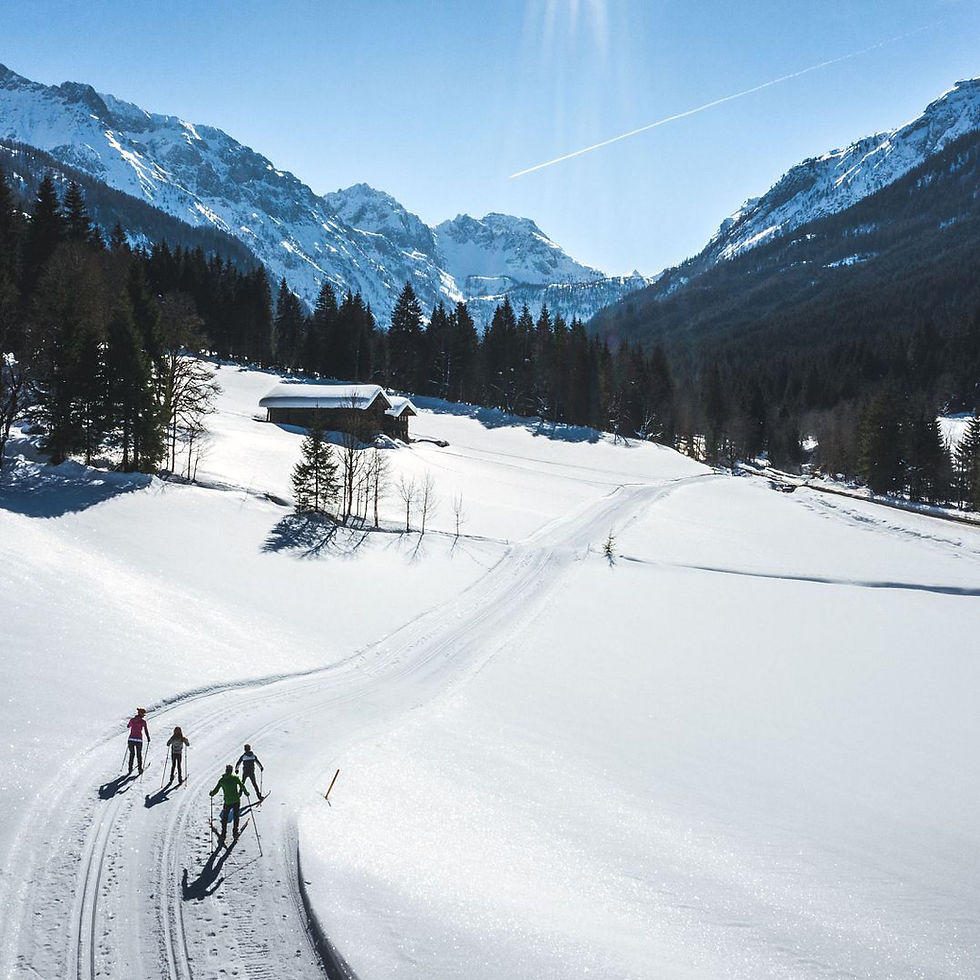 Skiing in Ski amadé Holiday at Central Home Wagrain