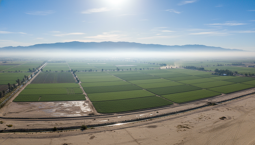 Aerial view of cultivated land with mountains in the background, Imperial County.
