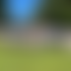 Teaching Advisors. Simplifying Complexity. Growing Together.