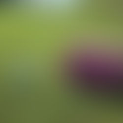 A Day on the Course, A Milestone for a Cause I Love