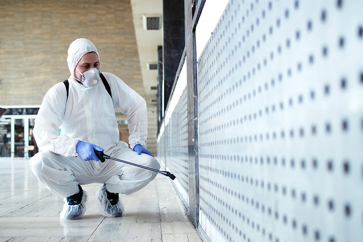 Licensed mold assessor conducting a Florida mold remediation protocol inspection using tools to ensure compliance and safety.