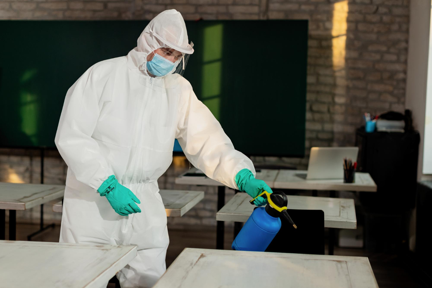 Article image: Understanding Mold Removal and Remediation in Florida’s High-Humidity Climate