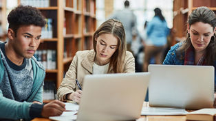 A diverse group of students collaborating on laptops, representing flexibility and teamwork in an online bachelor’s degree in interdisciplinary studies program