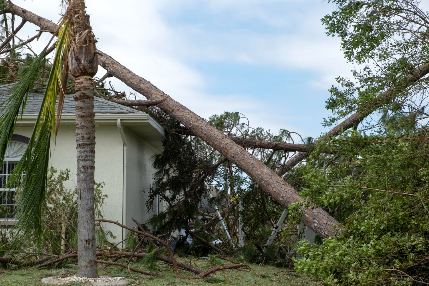 Article image: How to Handle Commercial Renovation in South Florida