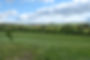 1E9C5D48-4F11-4061-9622-1BCEB97B0681_1_201_a.jpeg